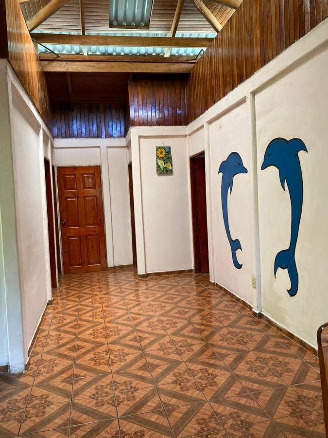 Betania House Daire Drakes Bay Dış mekan fotoğraf
